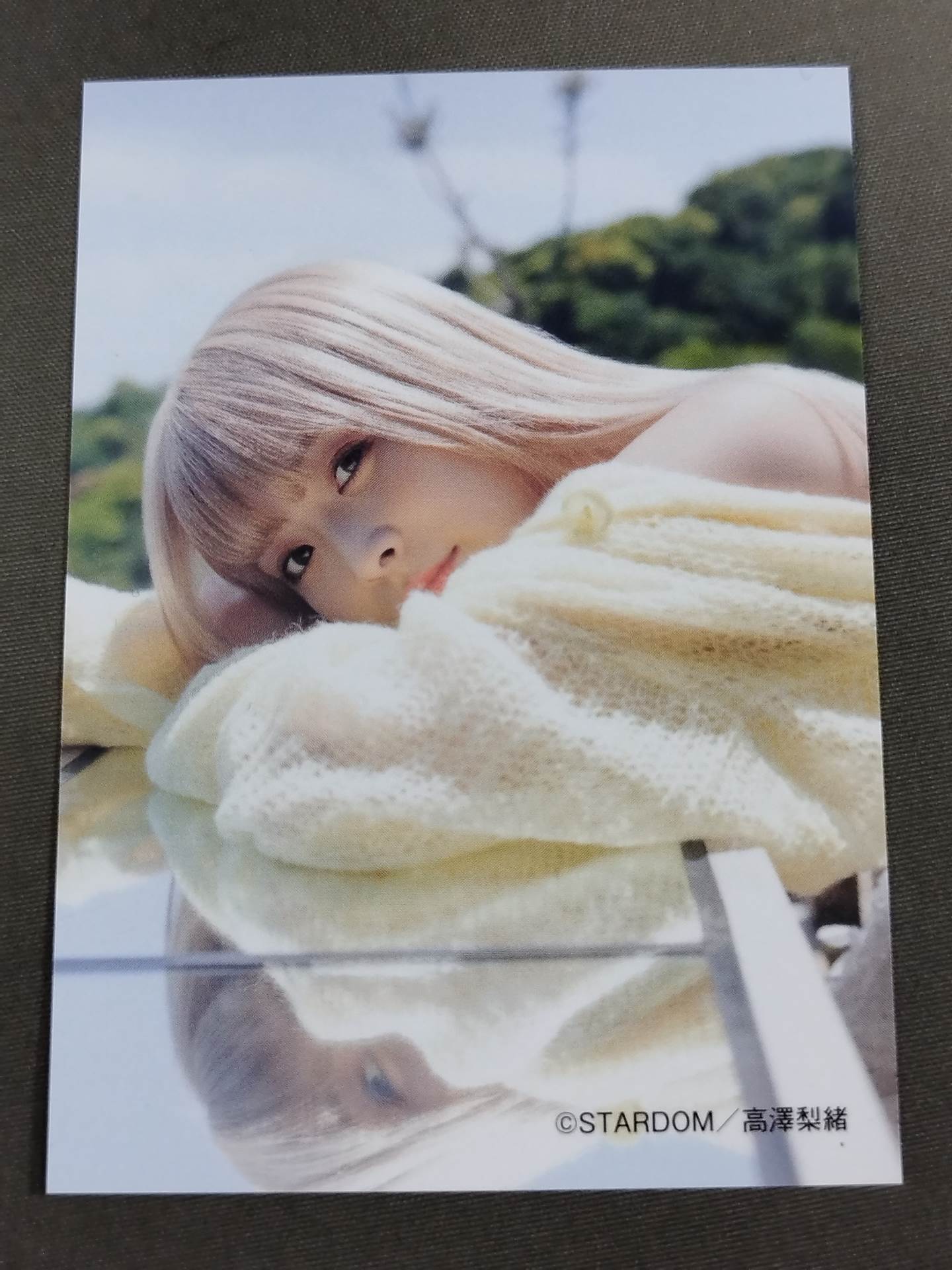 【特典トレカ付】なつぽいフォトエッセイ 29/30 (にーきゅーさんぜろ)