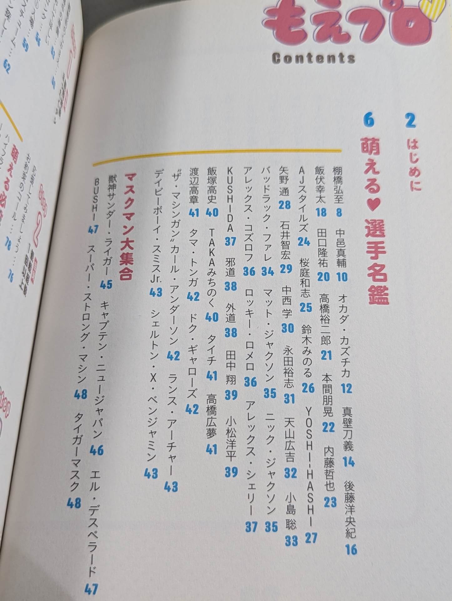 もえプロ 女子のための"萌える"プロレスガイドブック