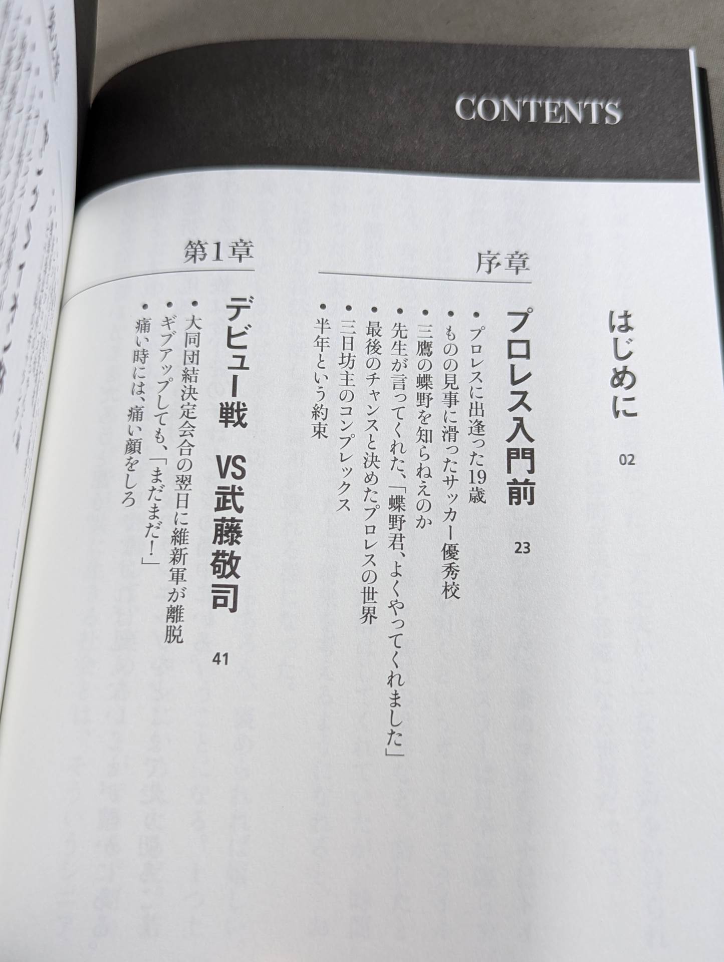 蝶野正洋『プロレス名勝負とあの事件の裏の裏』