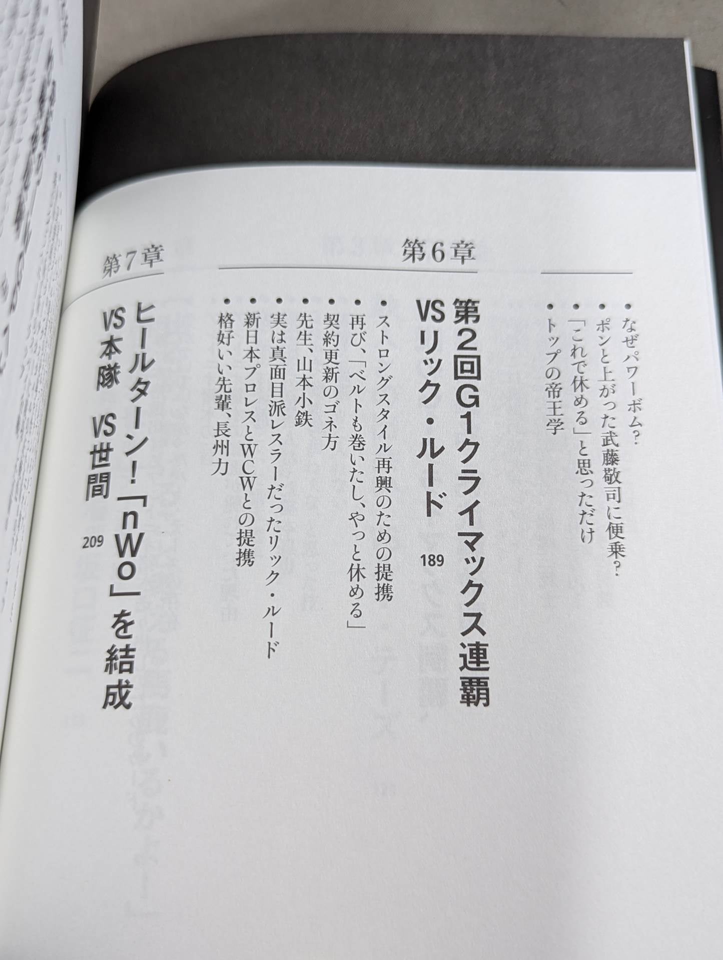 蝶野正洋『プロレス名勝負とあの事件の裏の裏』