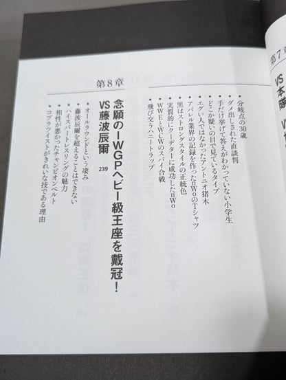 蝶野正洋『プロレス名勝負とあの事件の裏の裏』