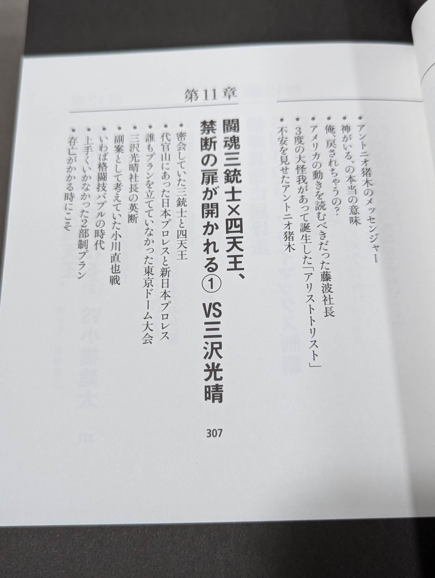 蝶野正洋『プロレス名勝負とあの事件の裏の裏』