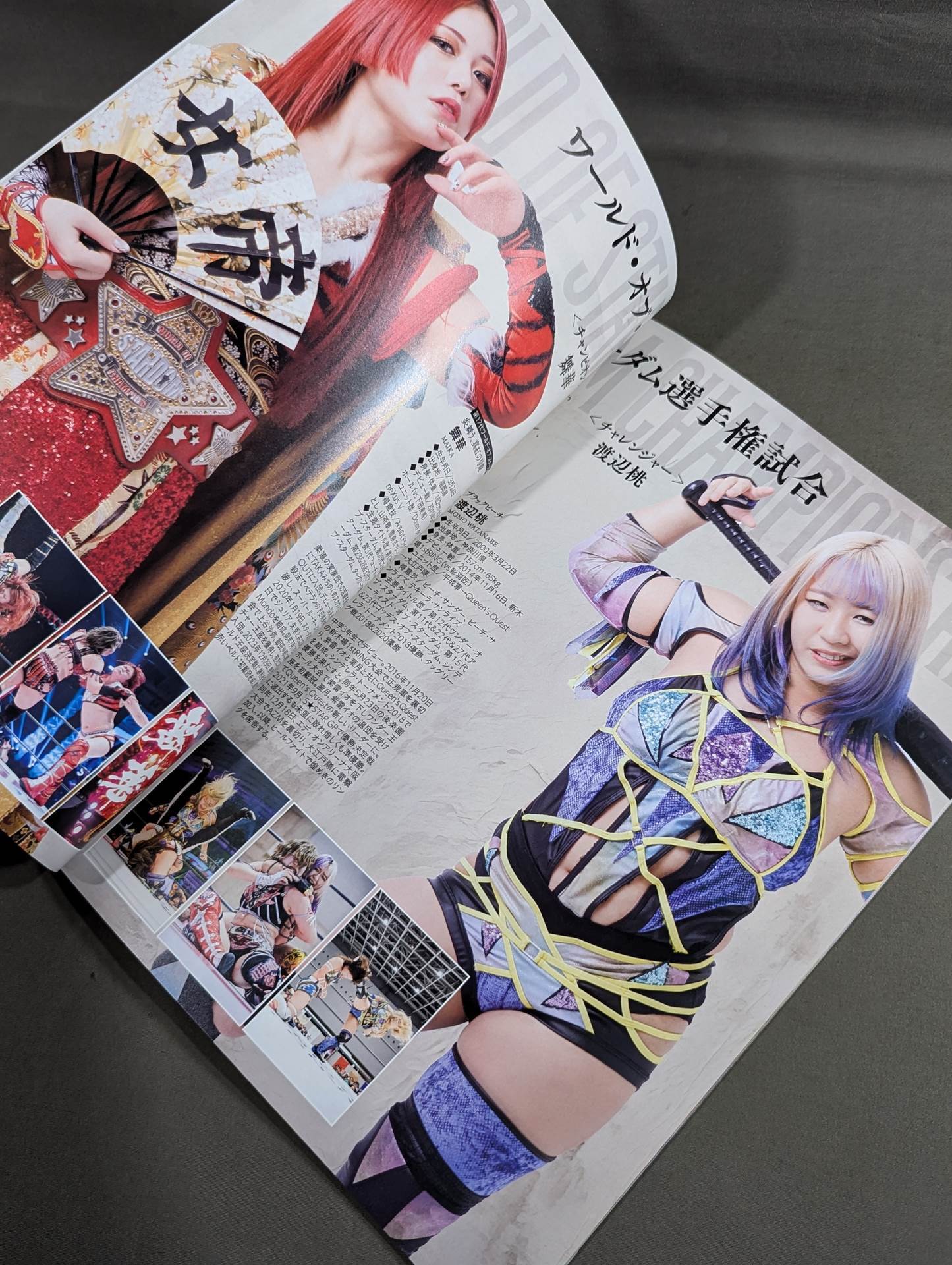 STARDOM OFFICIAL GUIDE BOOK Vol.151
