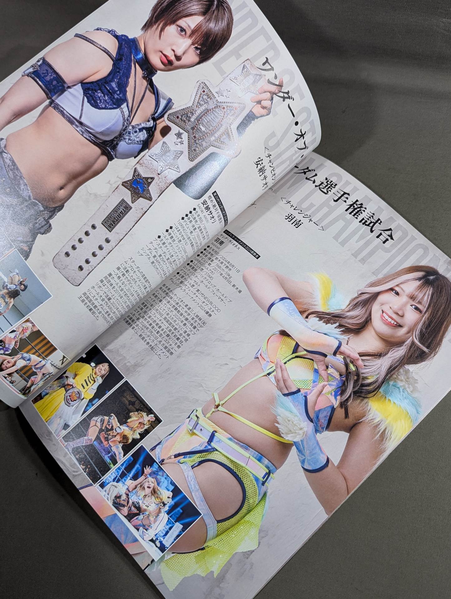 STARDOM OFFICIAL GUIDE BOOK Vol.151