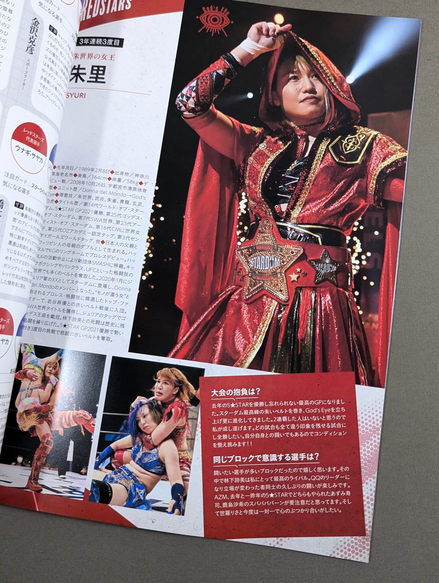 STARDOM OFFICIAL GUIDE BOOK Vol.143