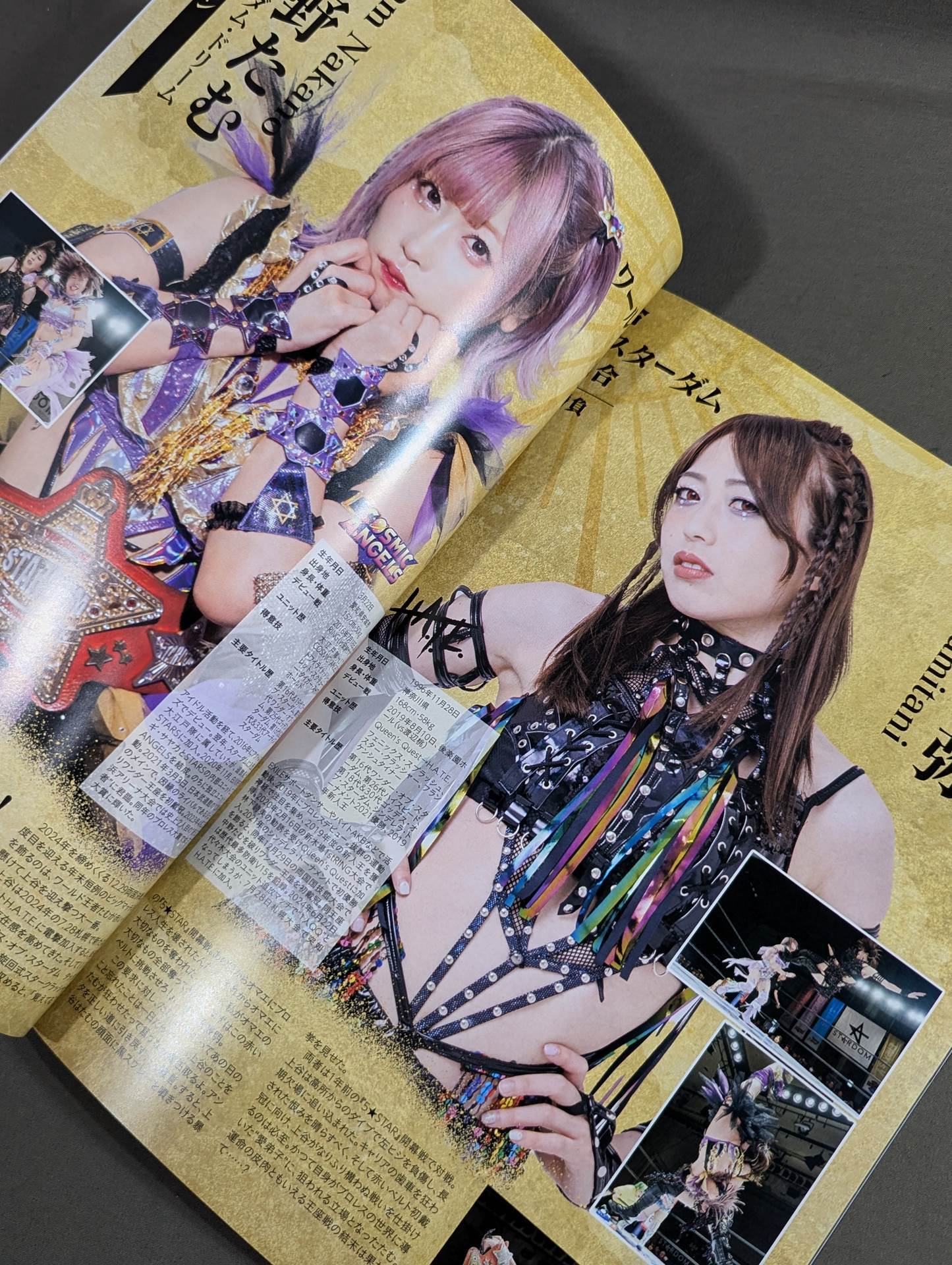 STARDOM DREAM QUEENDOM 2024 / OFFICIAL GUIDE BOOK Vol.154