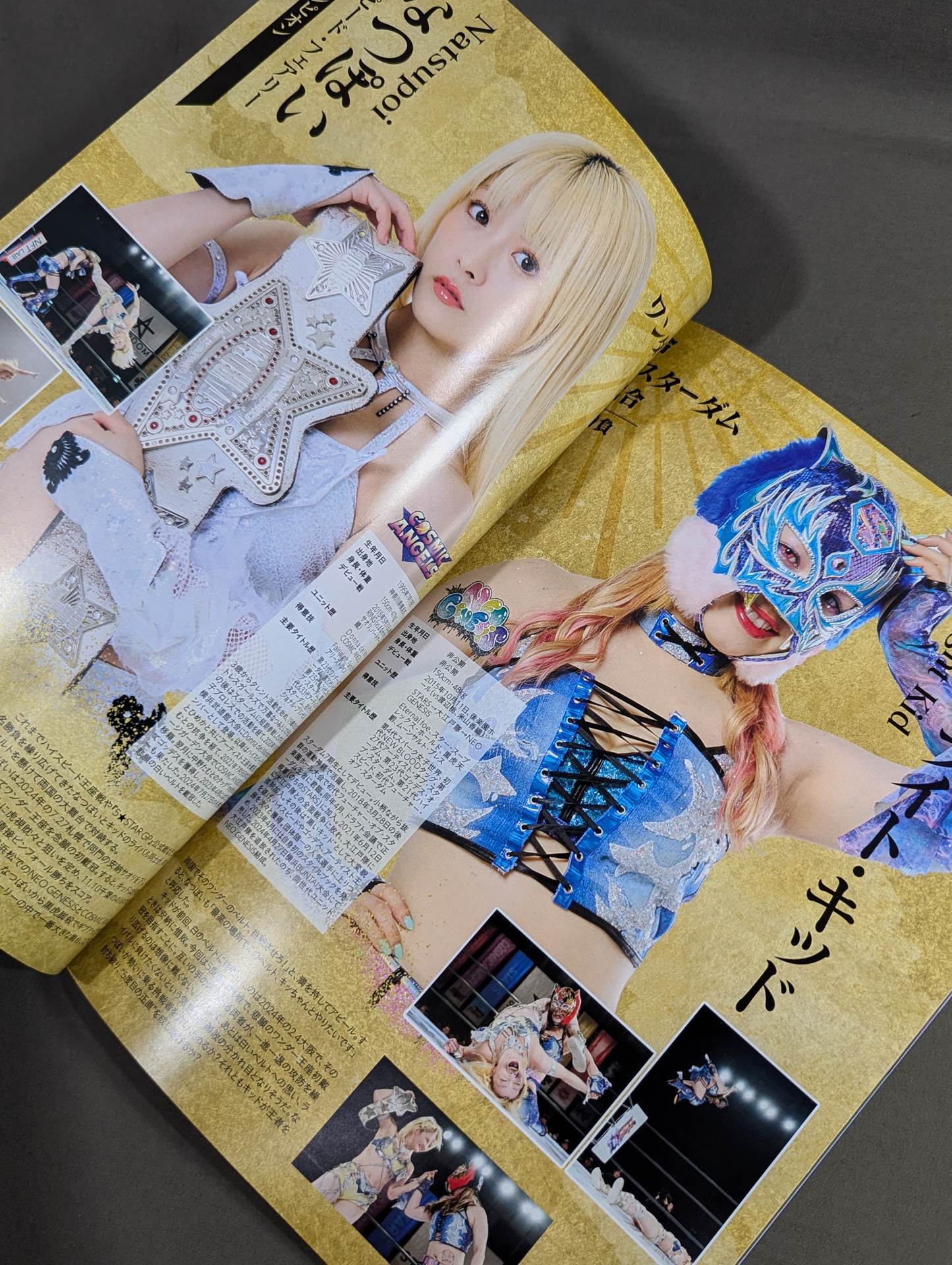STARDOM DREAM QUEENDOM 2024 / OFFICIAL GUIDE BOOK Vol.154
