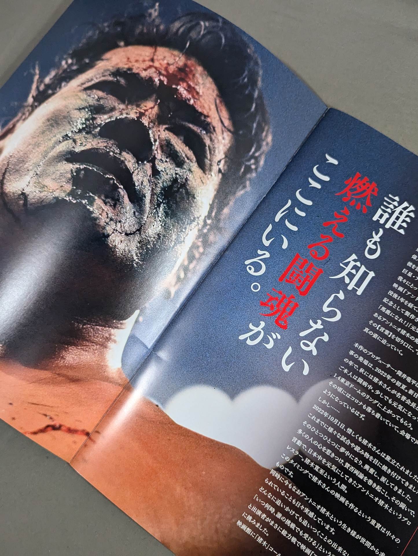 アントニオ猪木をさがして