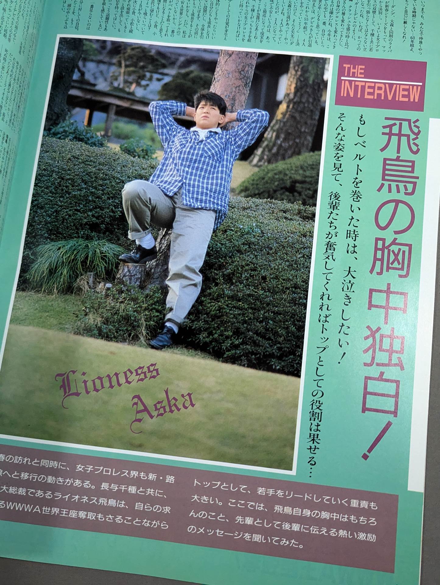 リングスターMAGAZINE ’88 Vol.39