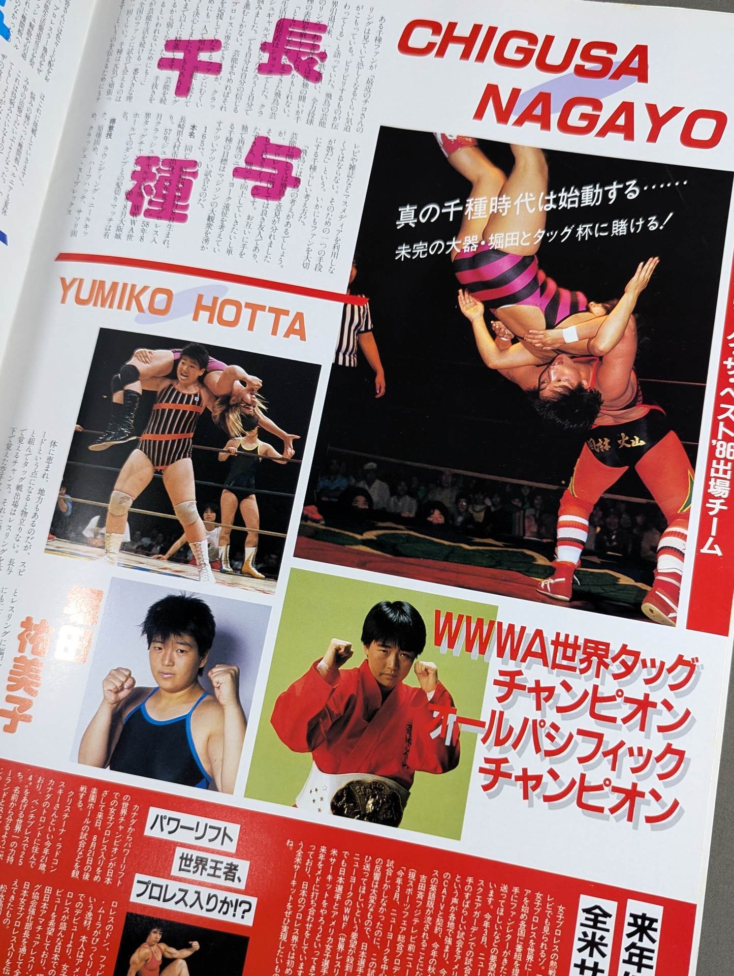 リングスターSPECIAL ’86 Vol.30