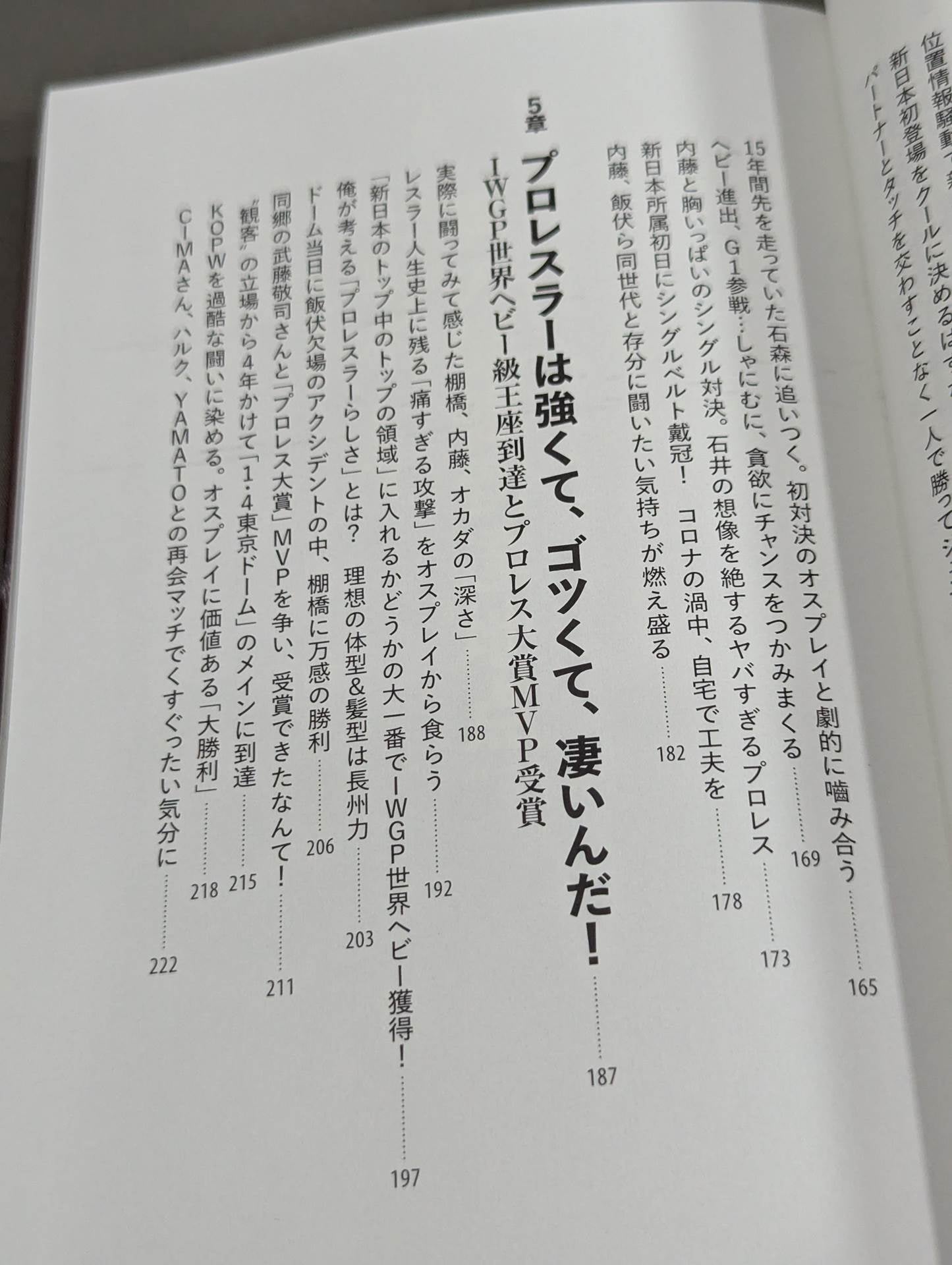鷹木信悟自伝 我道驀進(がどうばくしん)