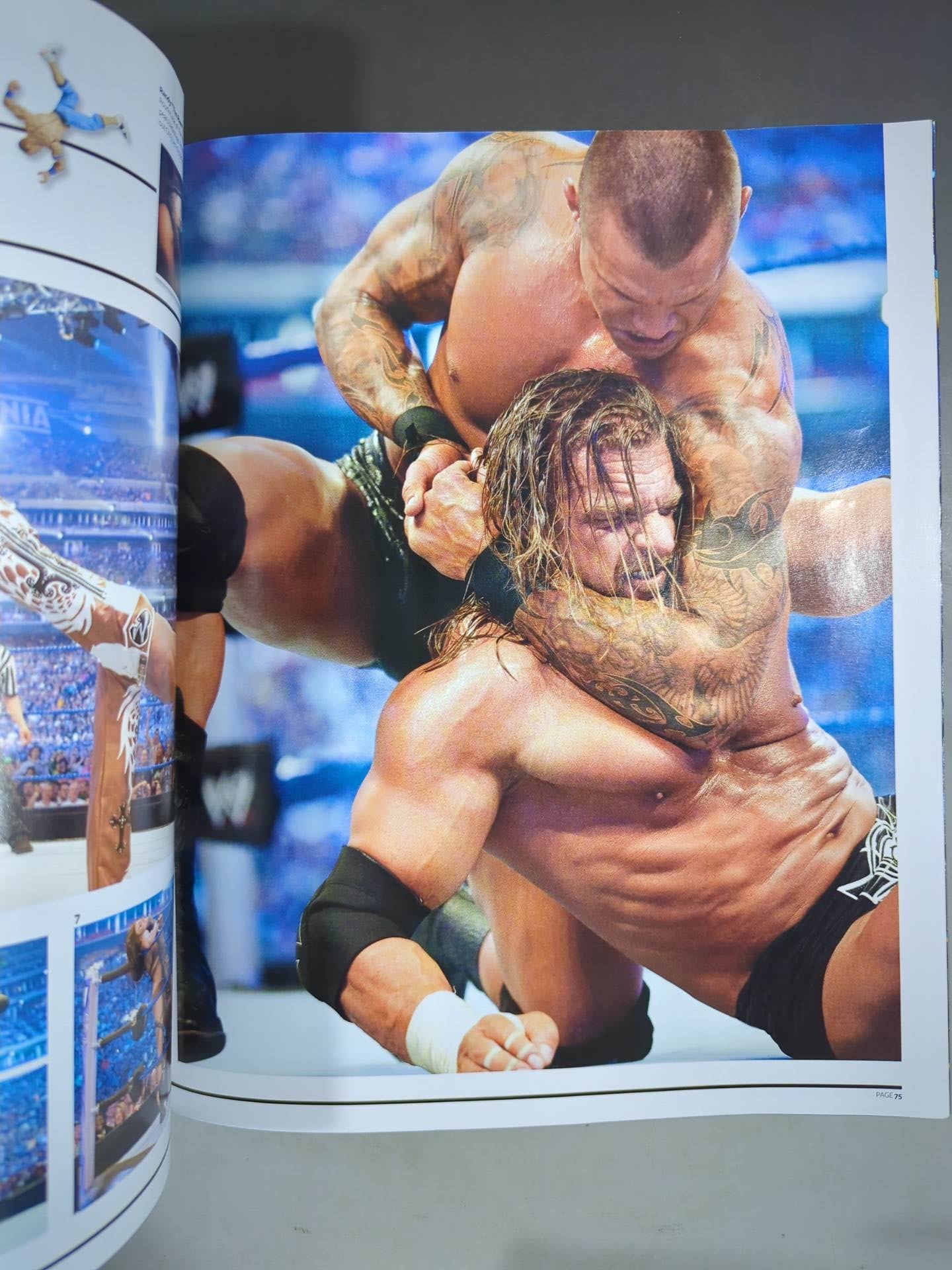 WWE WRESTLE MANIA XXⅦ