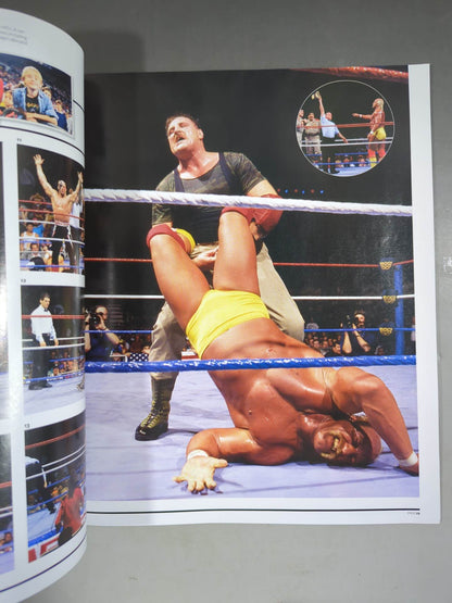 WWE WRESTLE MANIA XXⅦ