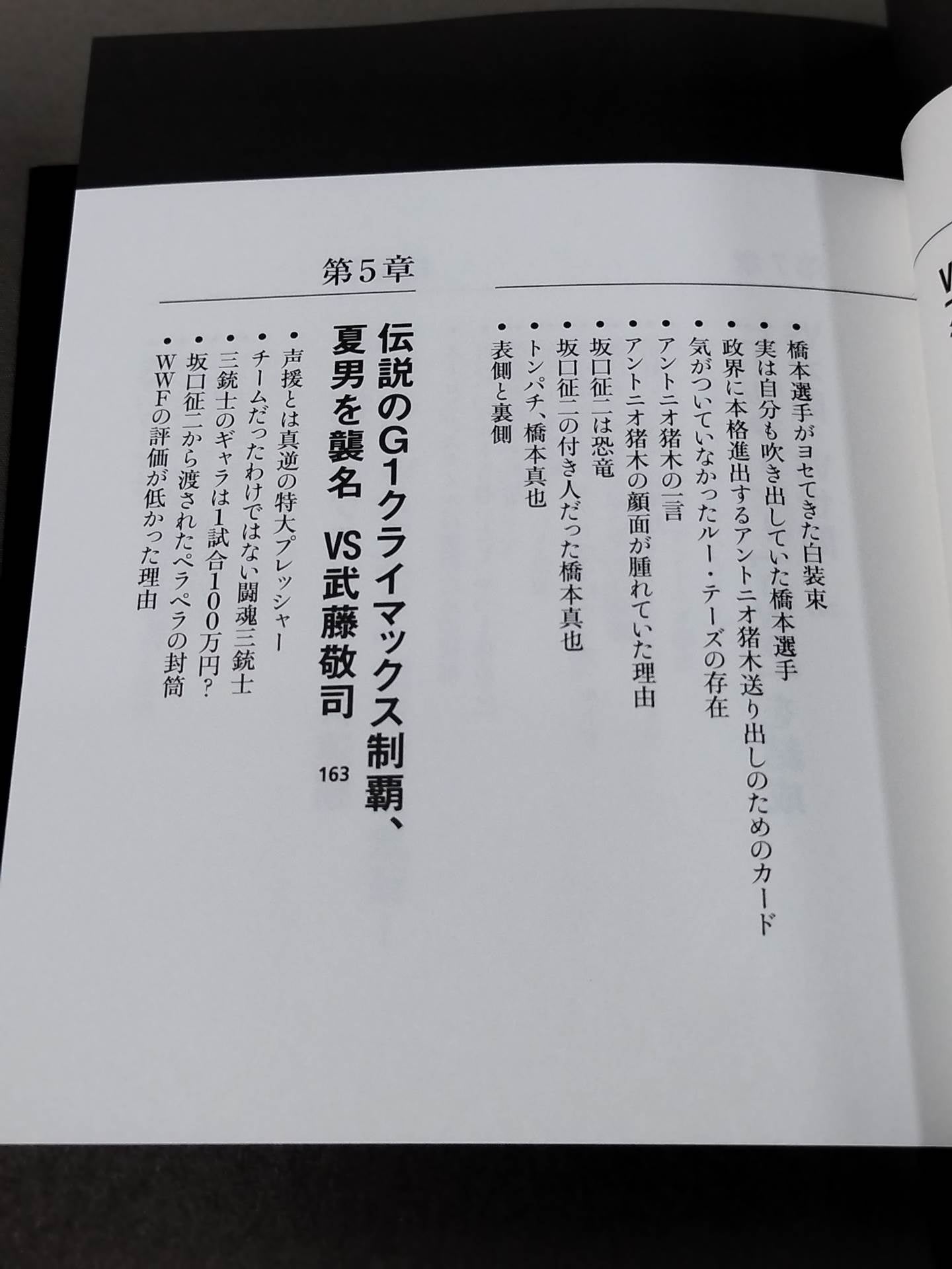 蝶野正洋『プロレス名勝負とあの事件の裏の裏』