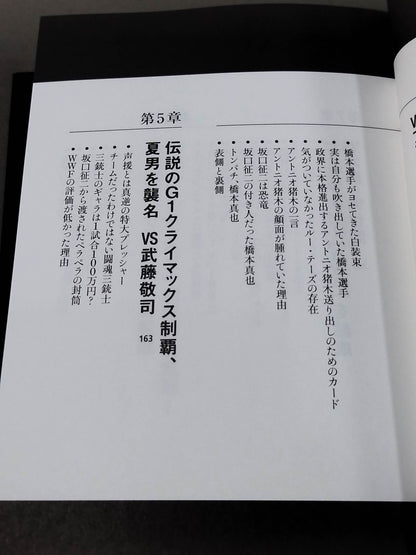 蝶野正洋『プロレス名勝負とあの事件の裏の裏』