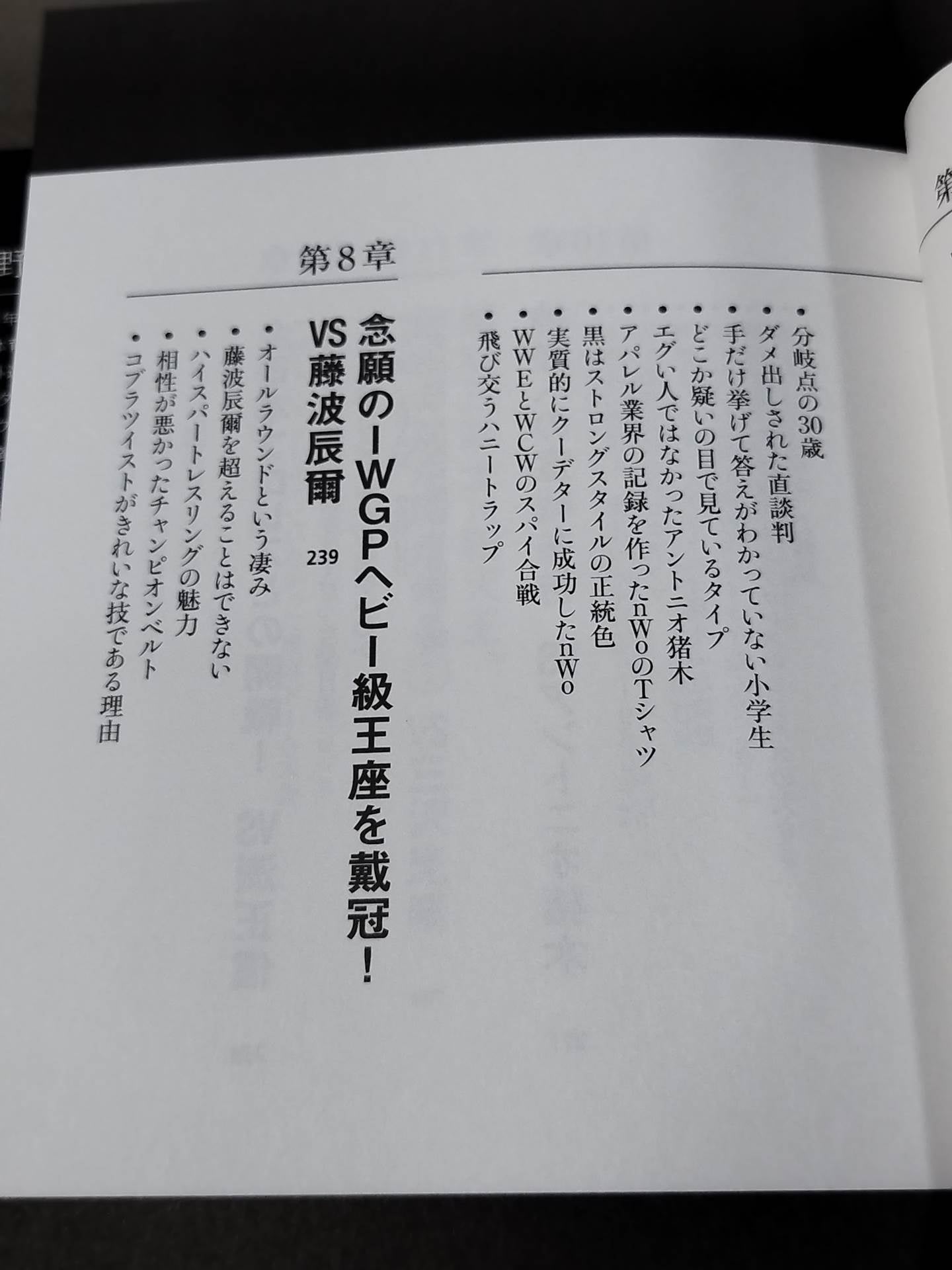 蝶野正洋『プロレス名勝負とあの事件の裏の裏』