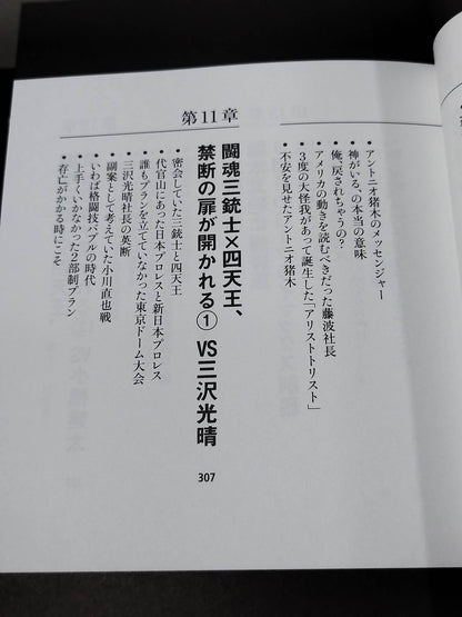 蝶野正洋『プロレス名勝負とあの事件の裏の裏』