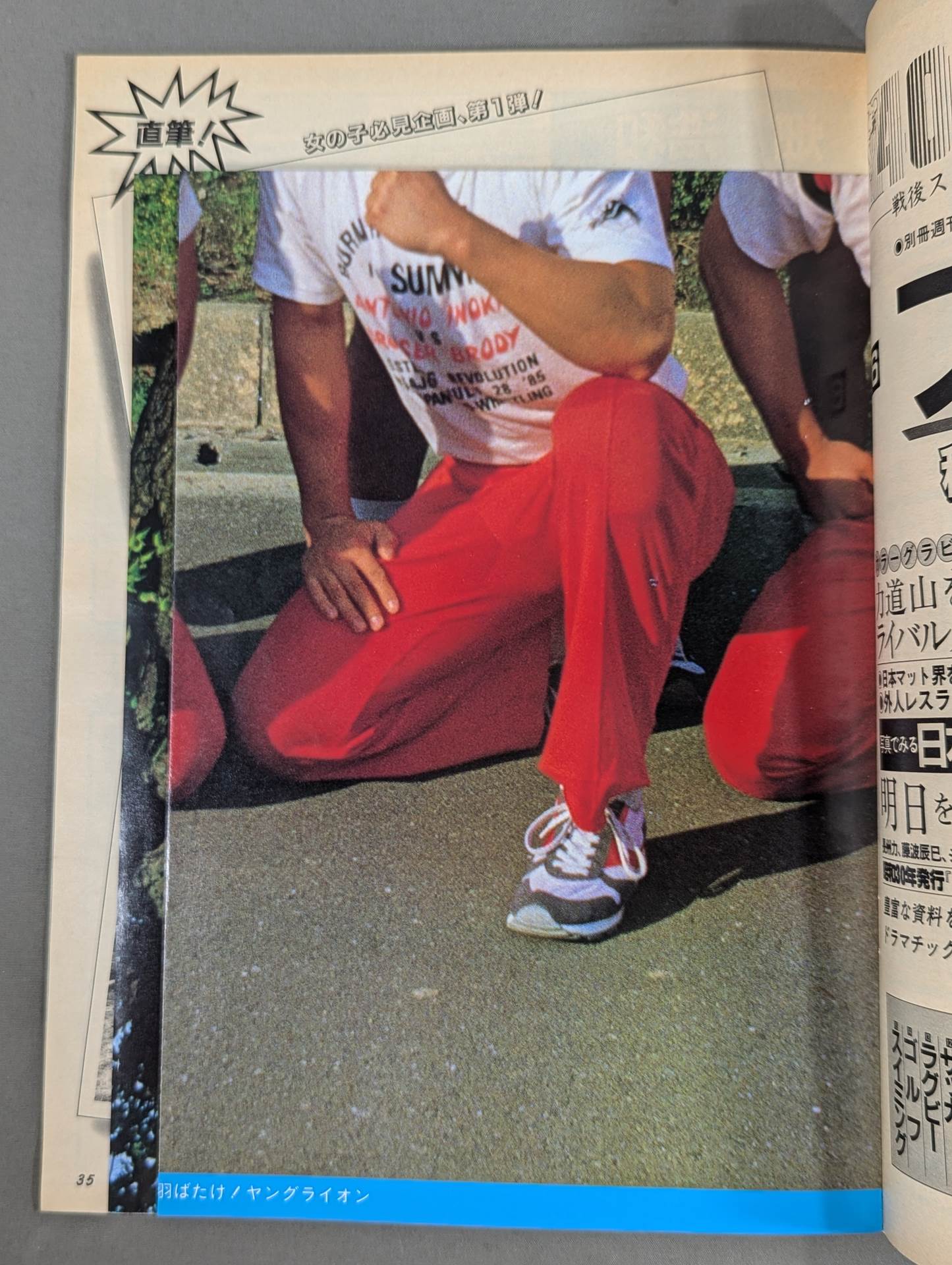 プロレスアルバム68 羽ばたけヤングライオン