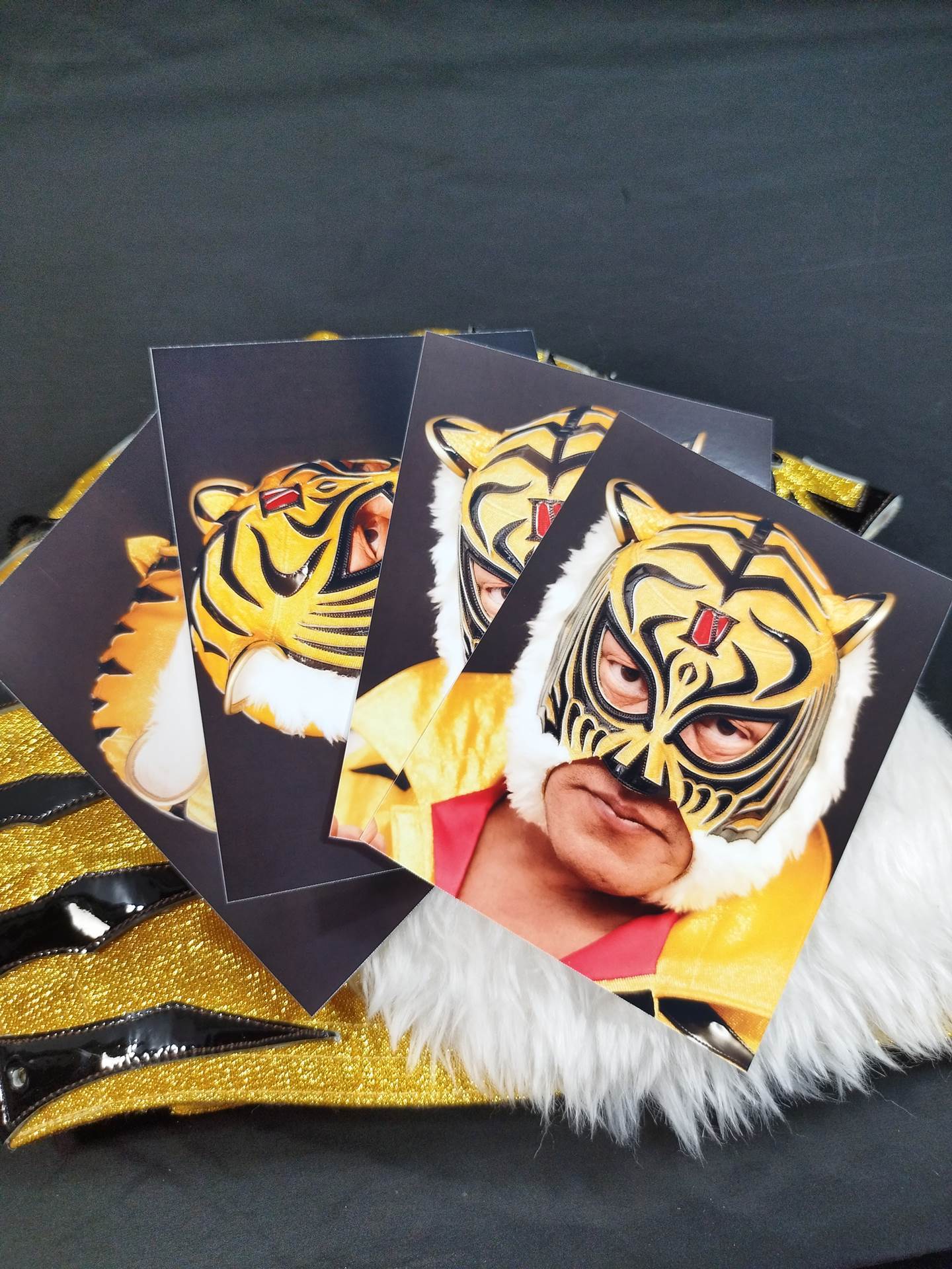 4th  Tiger Mask