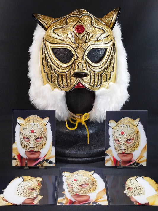 4th  Tiger Mask