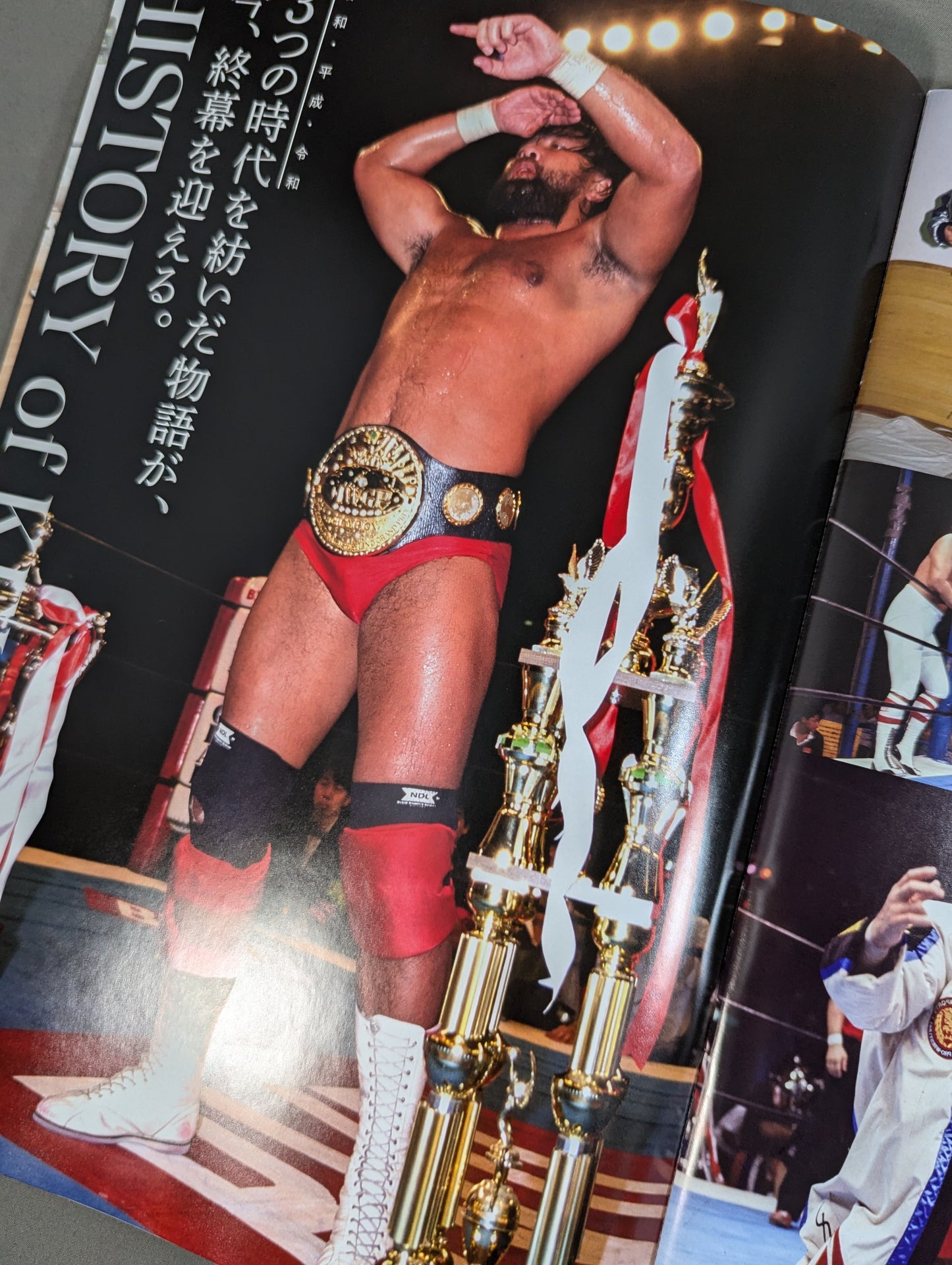 ★武藤敬司 引退試合★ KEIJI MUTO GRAND FINAL PRO-WRESTLING“LAST”LOVE ～HOLD OUT～