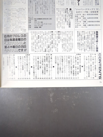 Deluxe Pro Wrestling July 1987