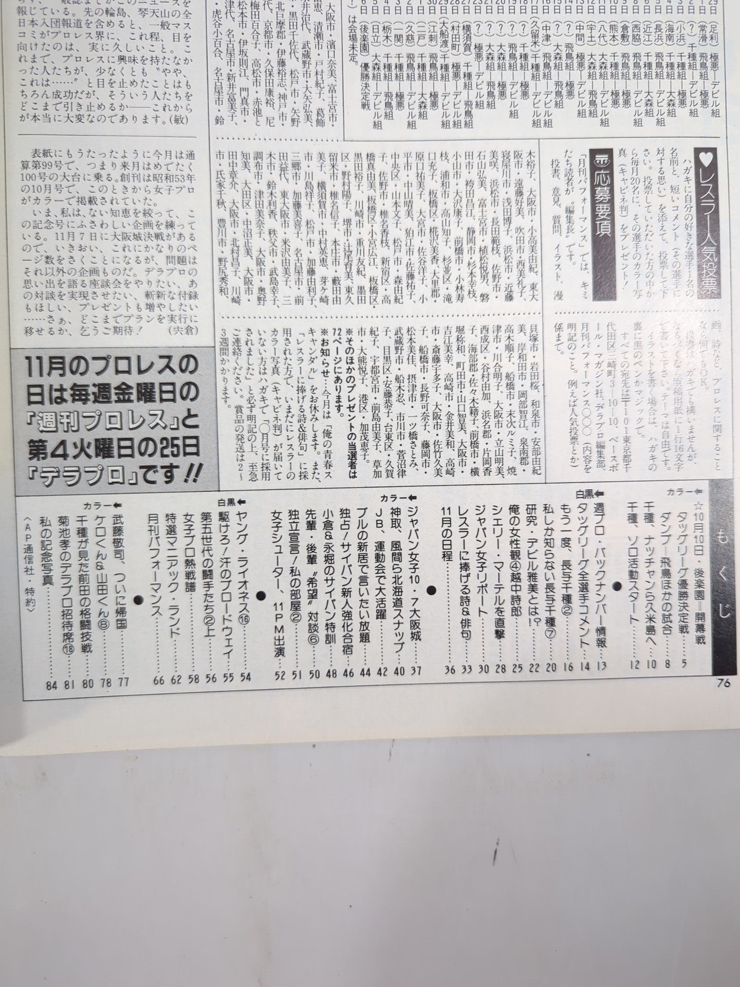 Deluxe Pro Wrestling  December 1986