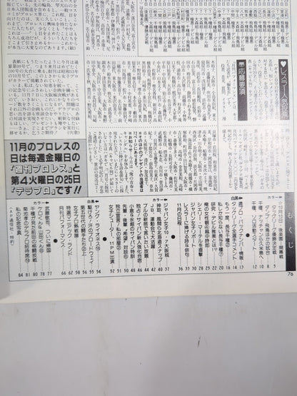Deluxe Pro Wrestling  December 1986