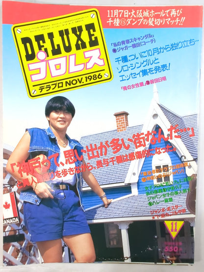Deluxe Pro Wrestling November 1986 issue