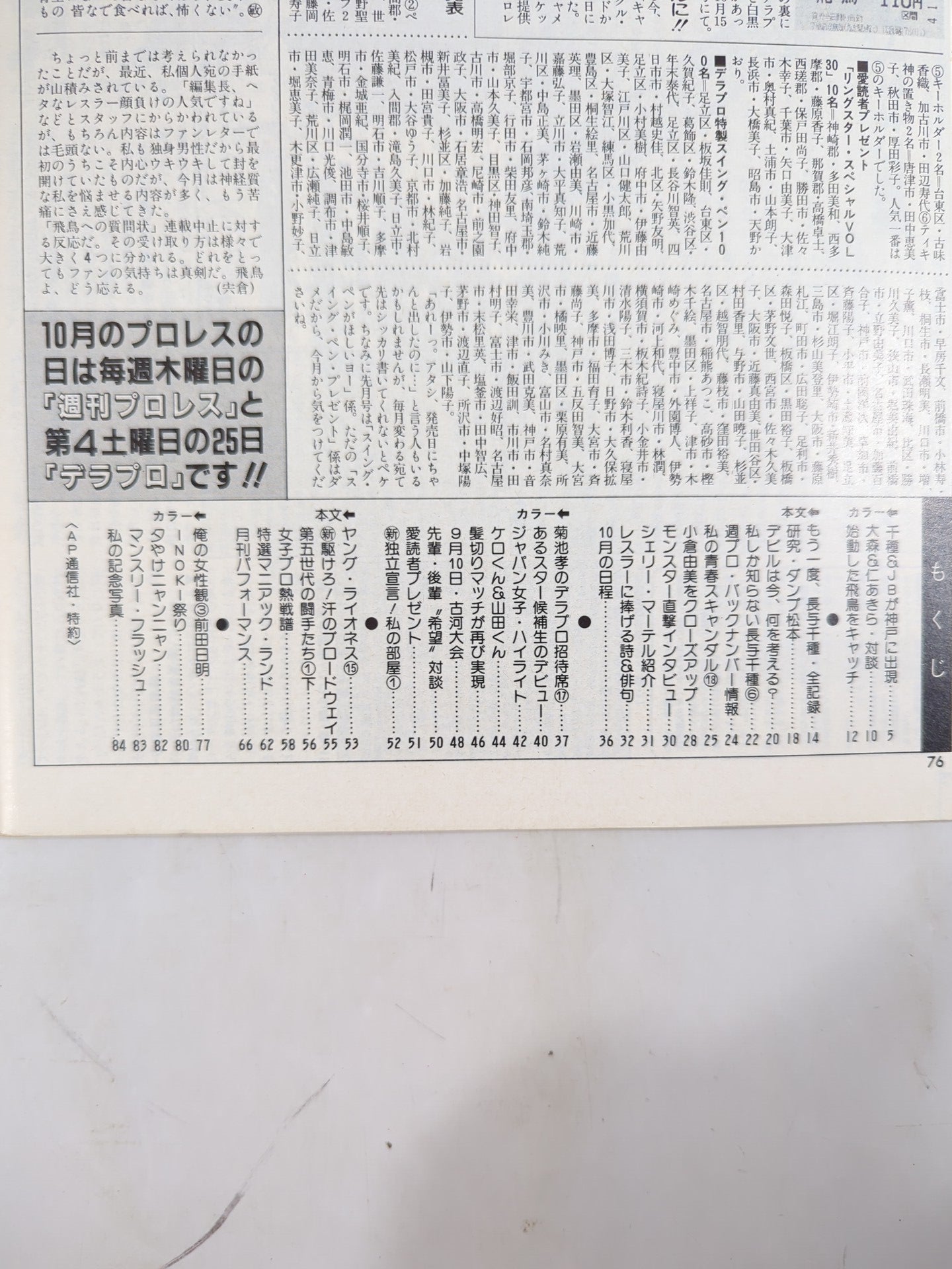 Deluxe Pro Wrestling November 1986 issue