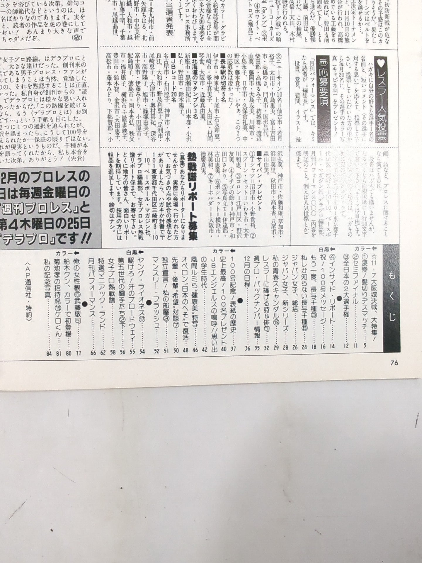 Deluxe Pro Wrestling January 1987 issue