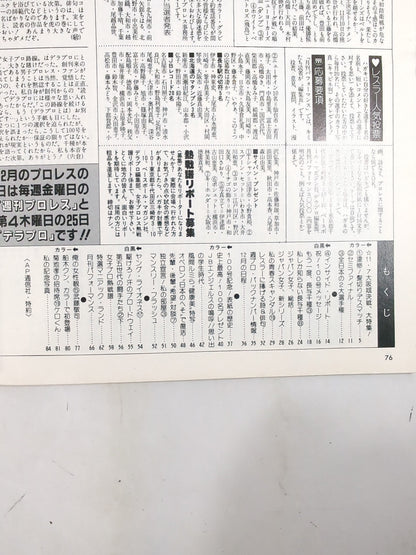 Deluxe Pro Wrestling January 1987 issue
