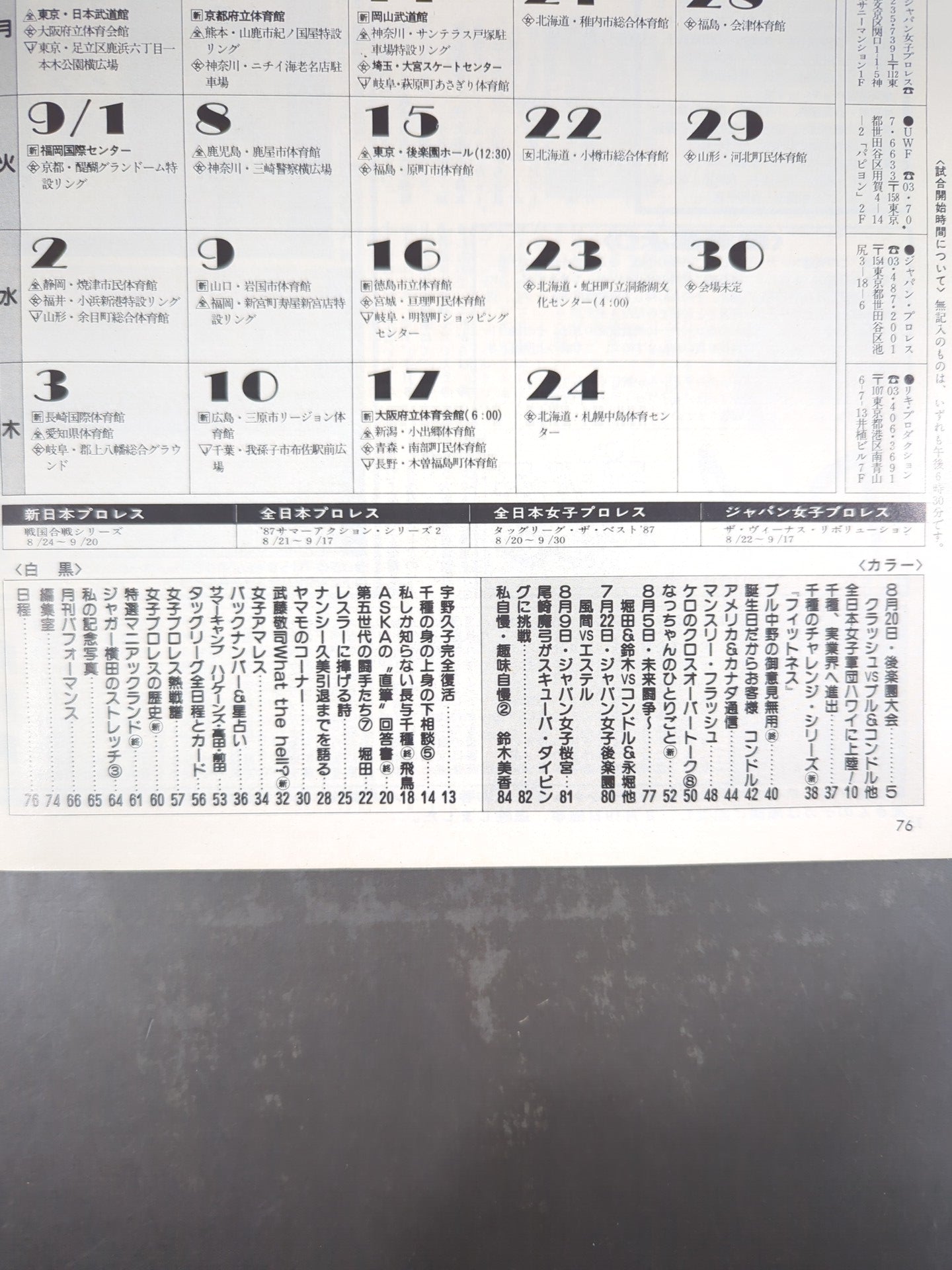 Deluxe Pro Wrestling October 1987 issue