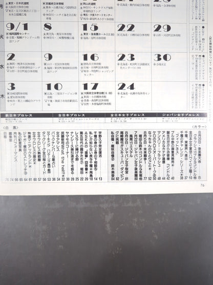 Deluxe Pro Wrestling October 1987 issue