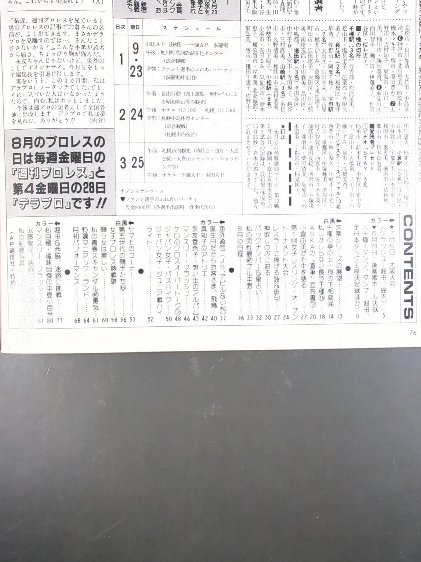 Deluxe Pro Wrestling September 1987 issue