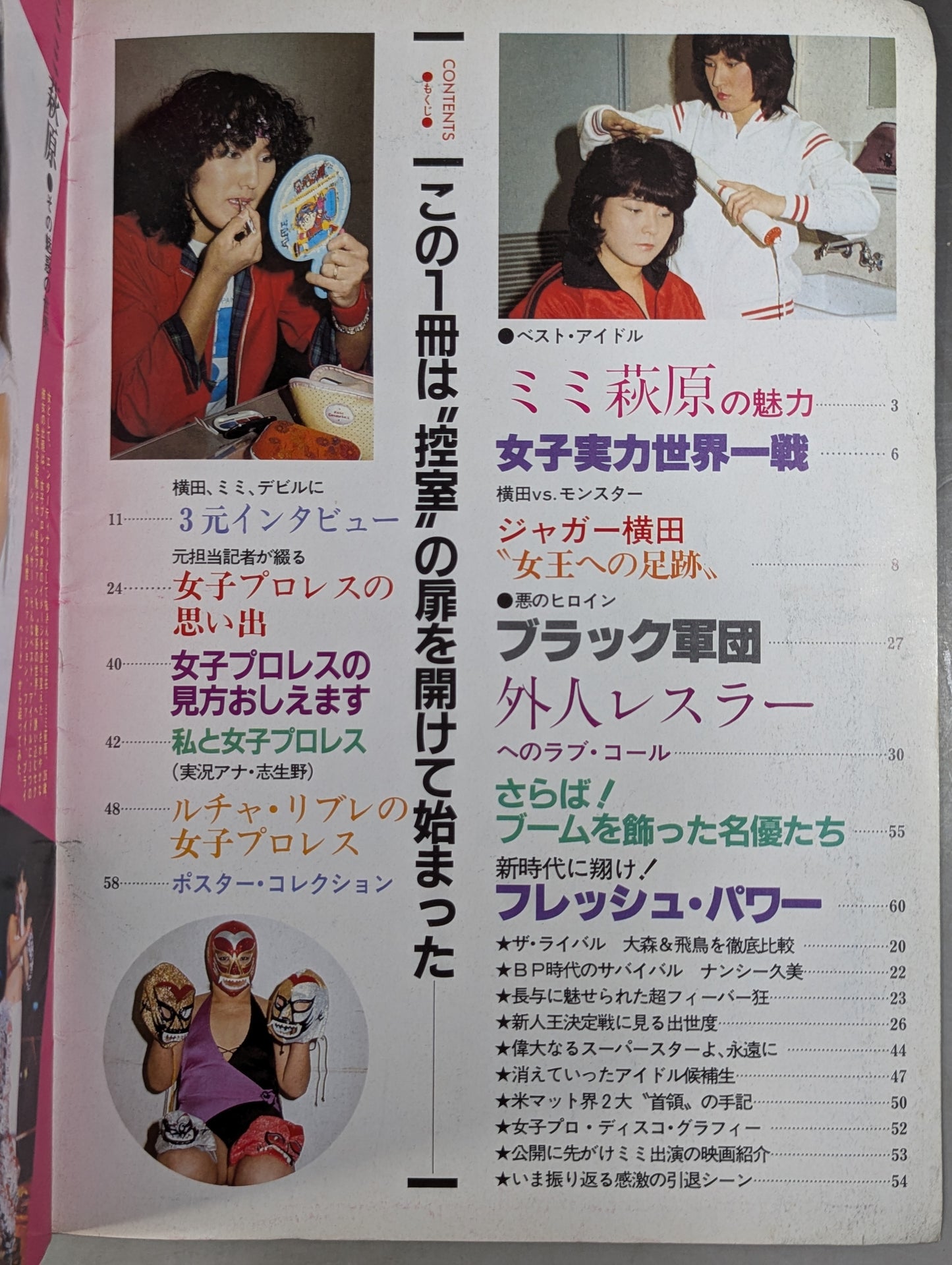 プロレスアルバム21 リングに咲いた恋人たち