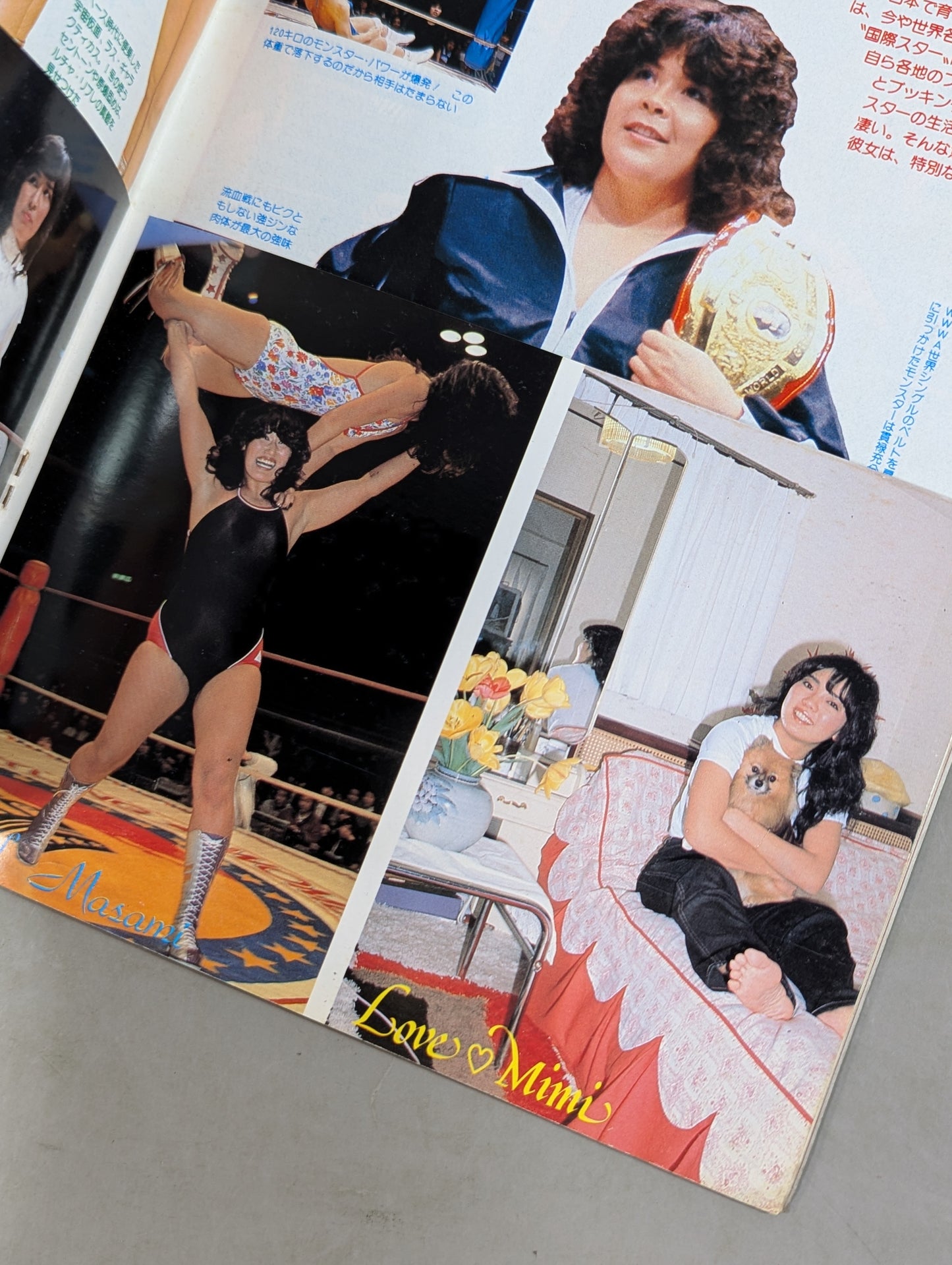 プロレスアルバム21 リングに咲いた恋人たち
