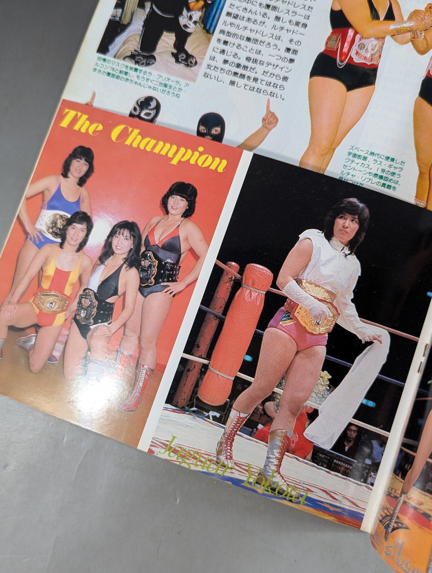 プロレスアルバム21 リングに咲いた恋人たち