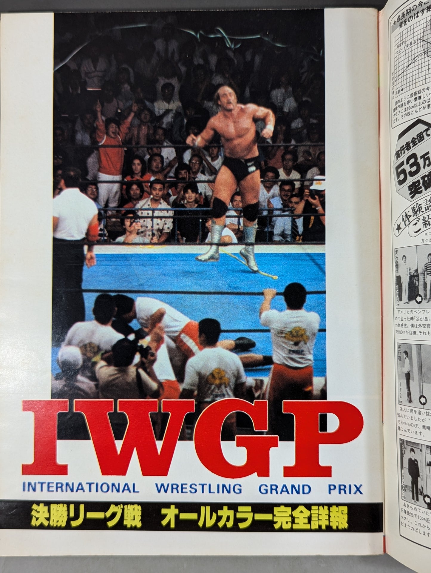 ゴング増刊号 IWGP～ゴング・ベスト・アルバム・シリーズ⑨～