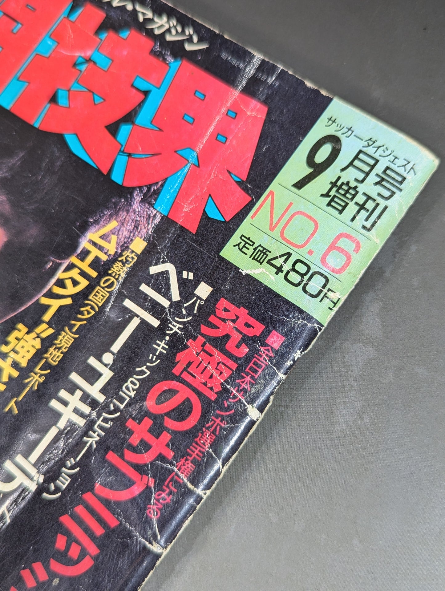 格闘技界6