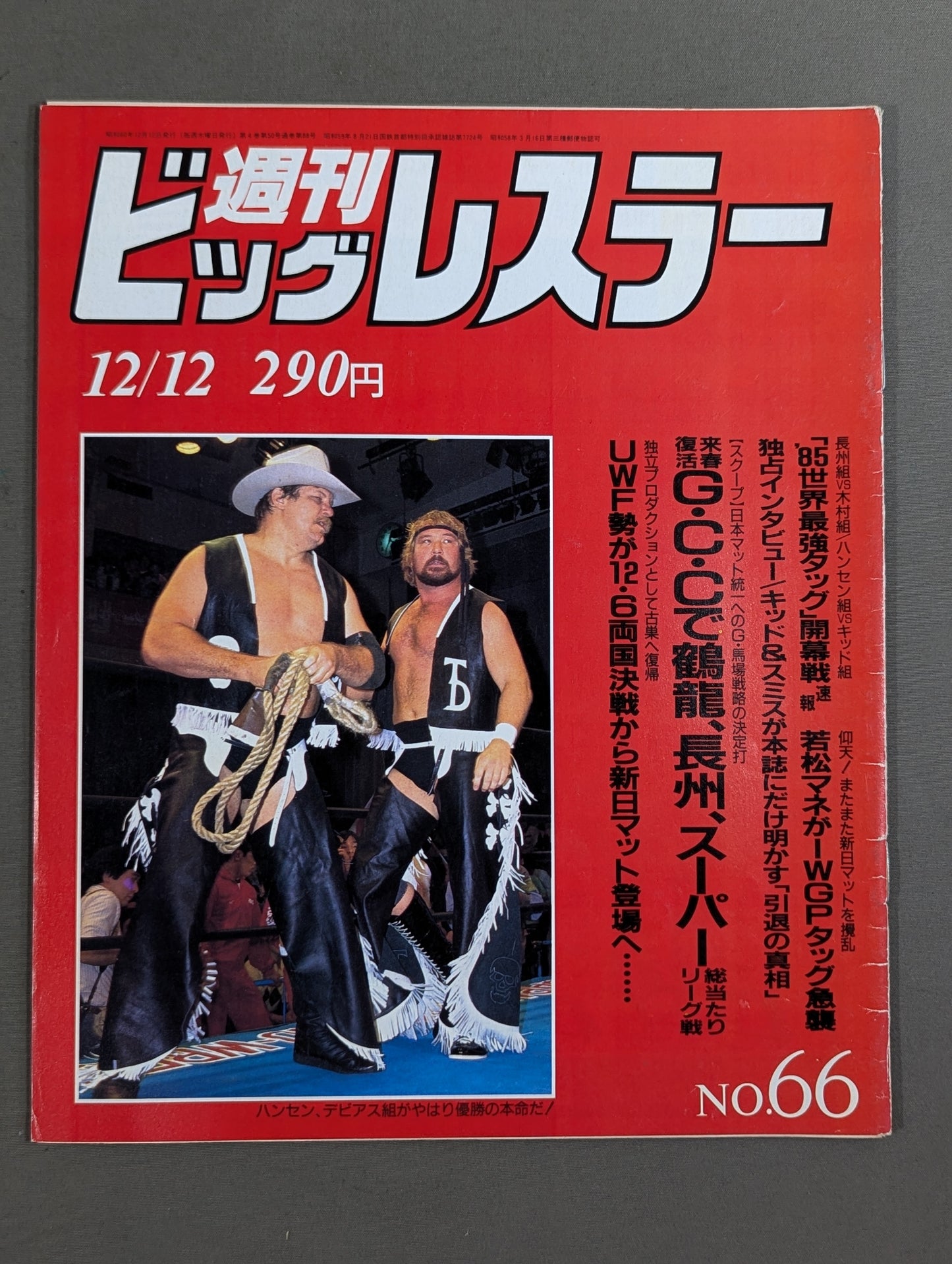 週刊ビッグレスラー66