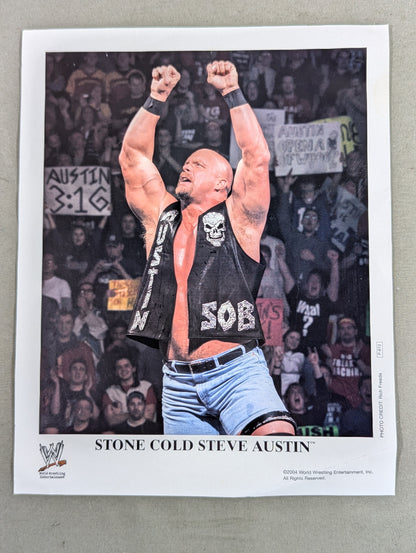 WWE ポートレート 3枚セット