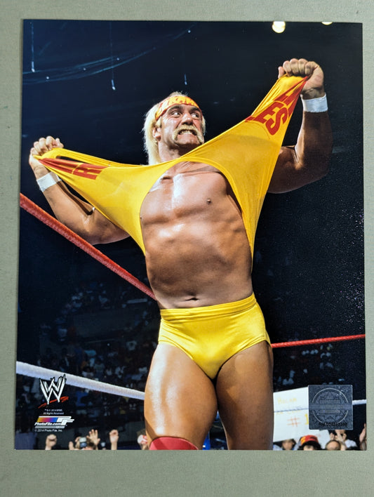 ハルク・ホーガン WWE ポートレート