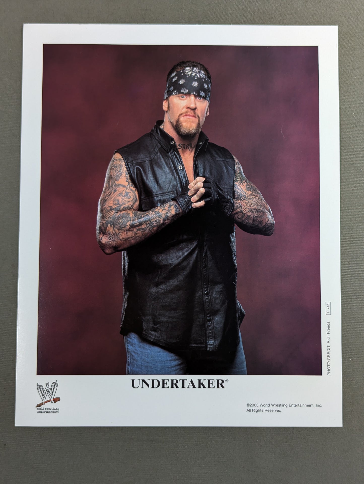 WWE ポートレート 4枚セット