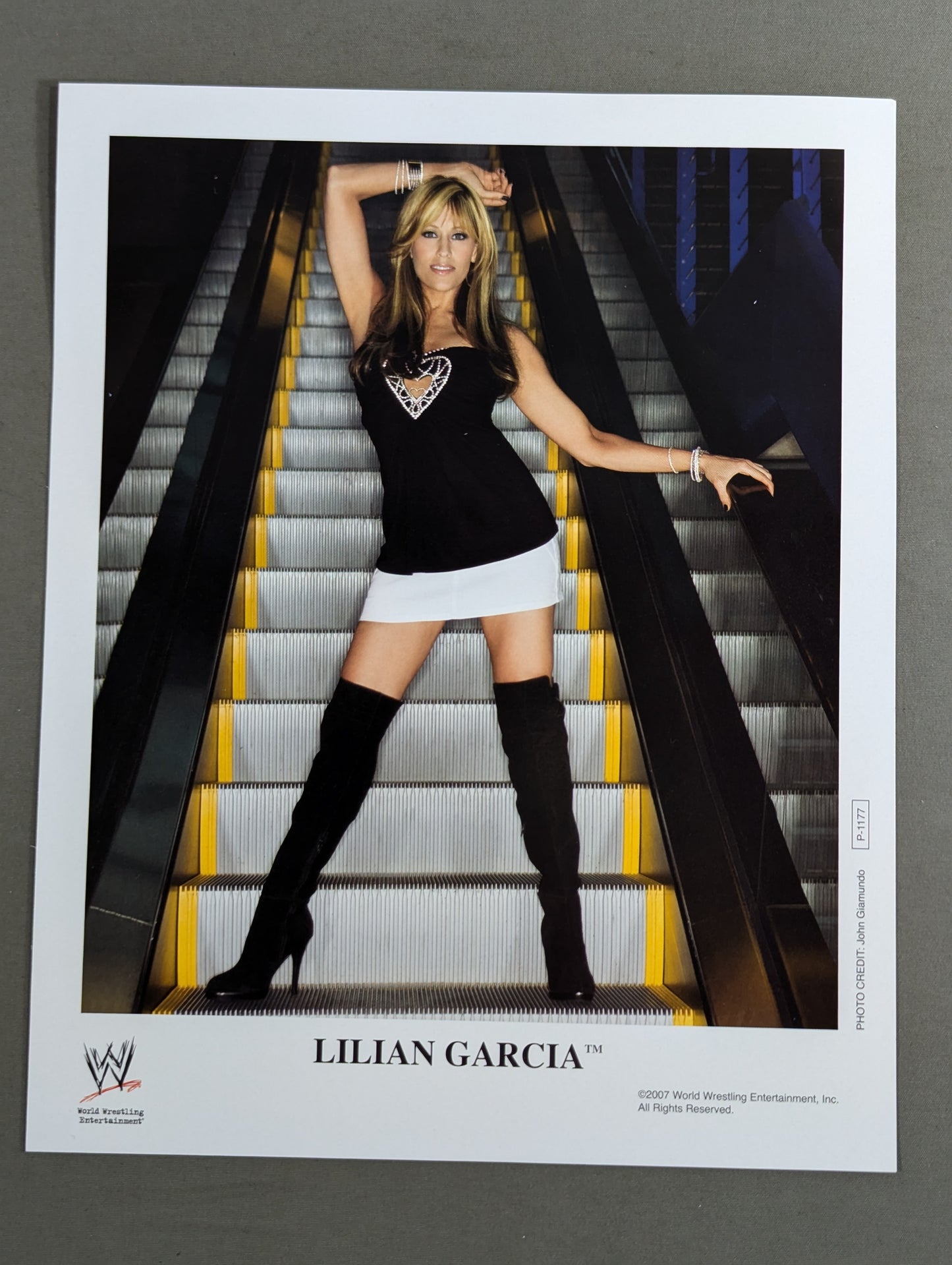 WWE ポートレート 4枚セット