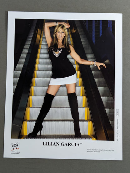 WWE ポートレート 4枚セット