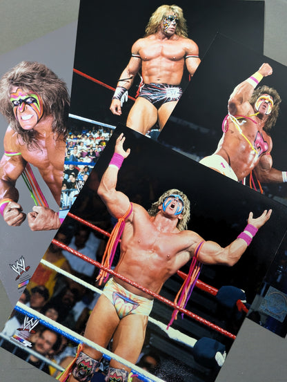 アルティメット・ウォリアー WWE ポートレートセット