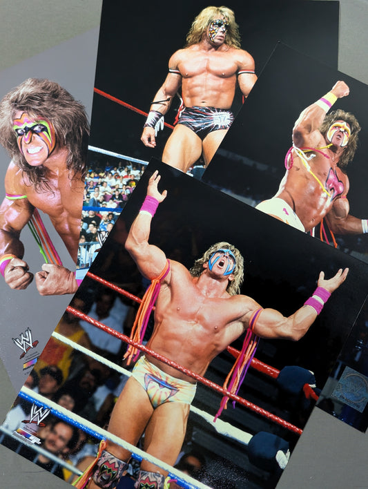 アルティメット・ウォリアー WWE ポートレートセット