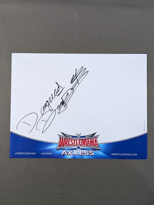Danny Davis (WWE Paper)