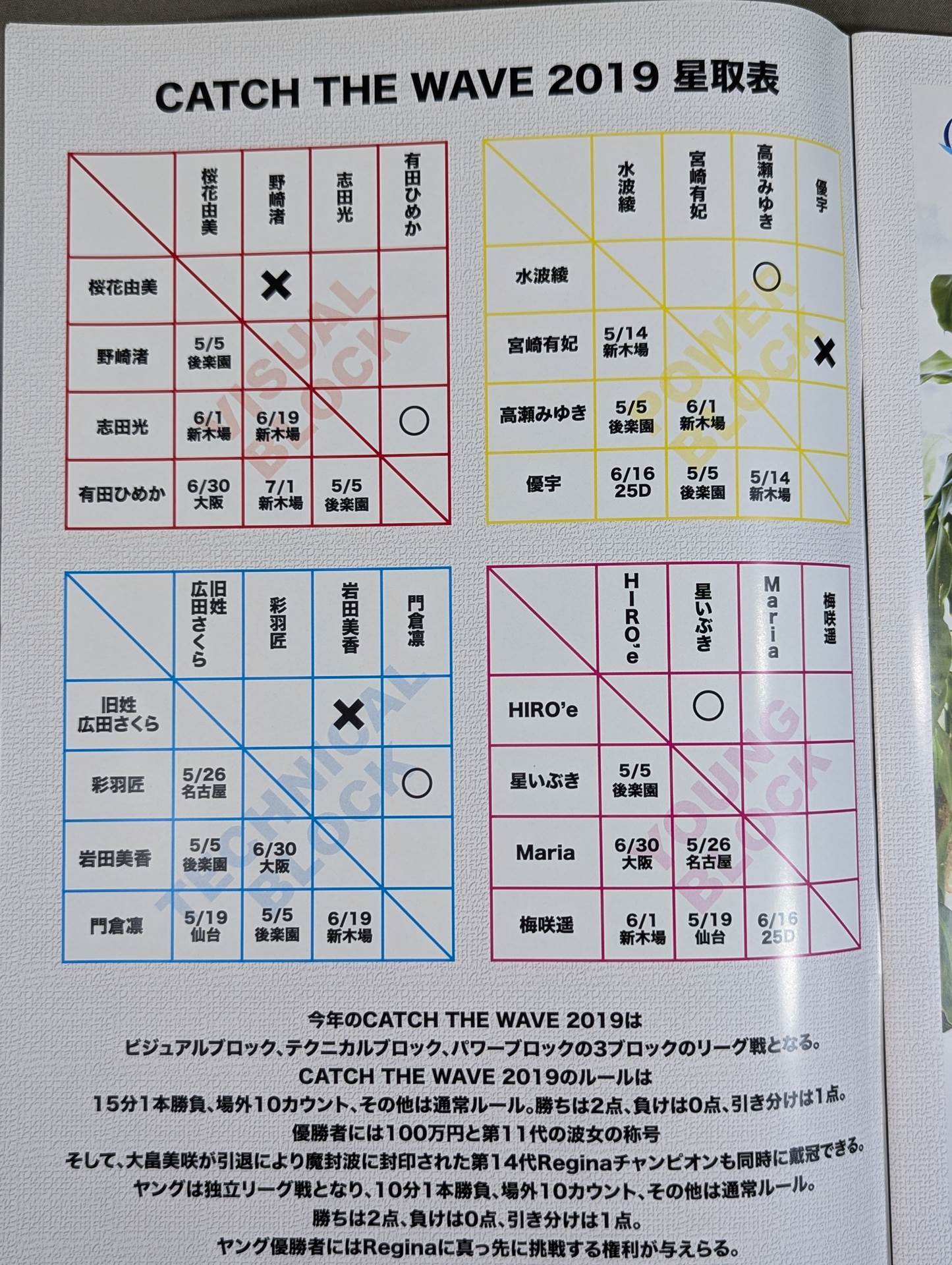 Pro-wrestling WAVE Official Brochure Phase2 vol.2